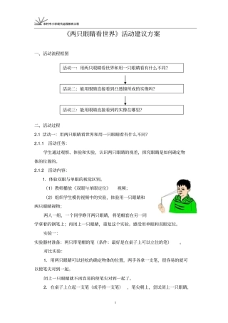 两只眼睛看世界活动建议的方案