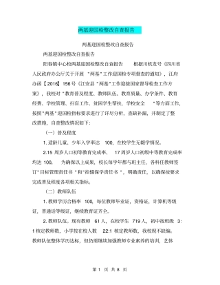 两基迎国检整改自查报告【可编辑版】