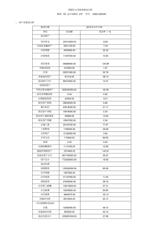 两面针公司财务报表分析