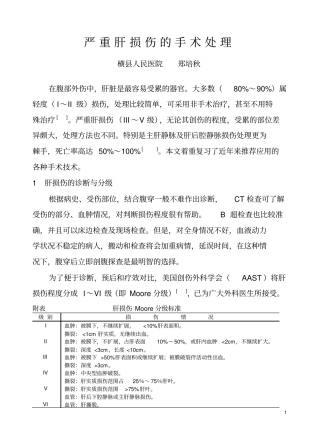 严重肝损伤手术处理探讨