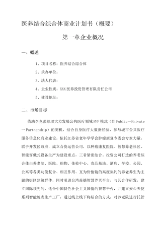 医疗养老综合服务体系商业计划书