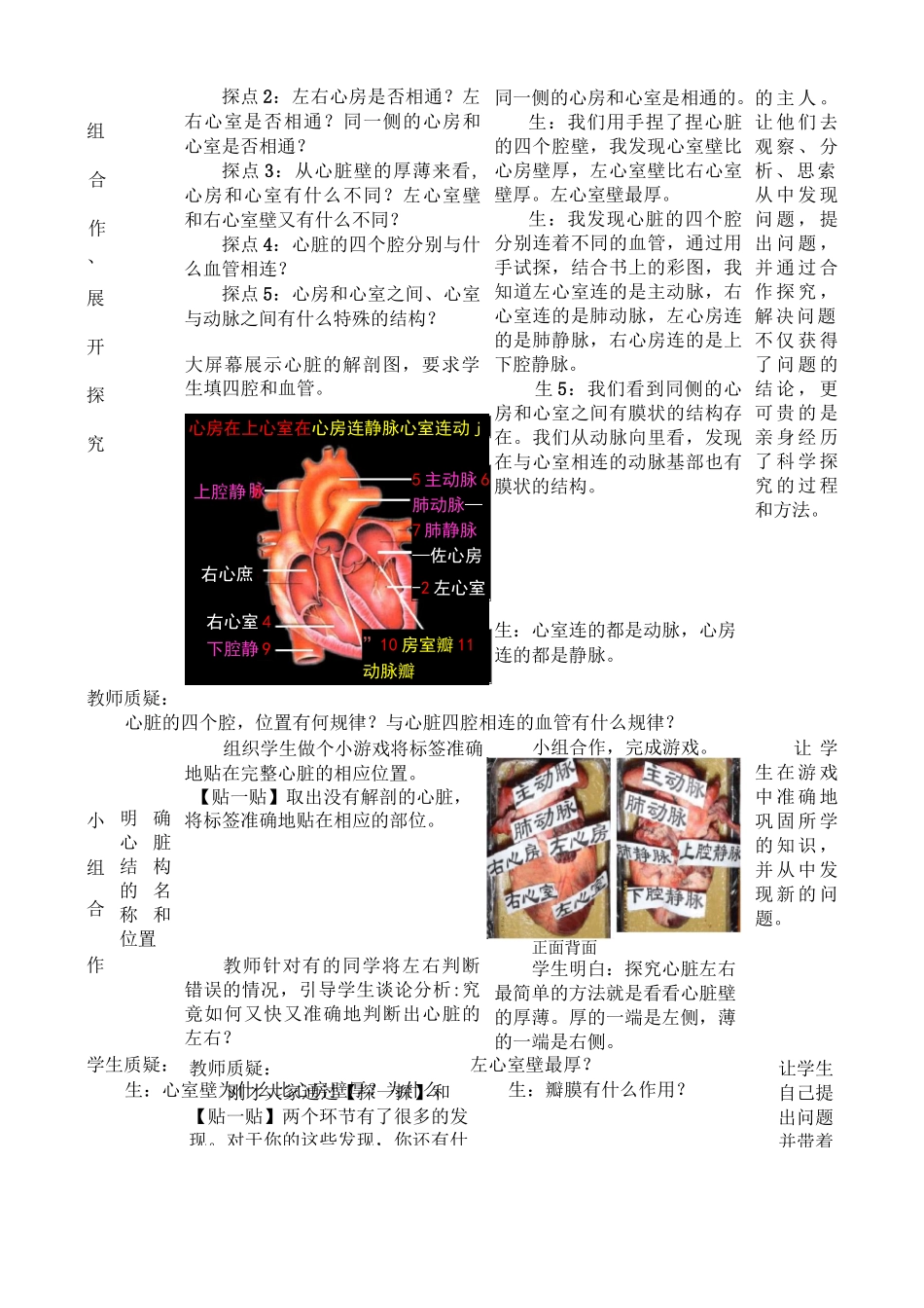 输送血液的泵——心脏教学设计_第3页