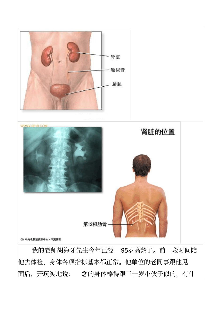 中医养生补肾_第3页