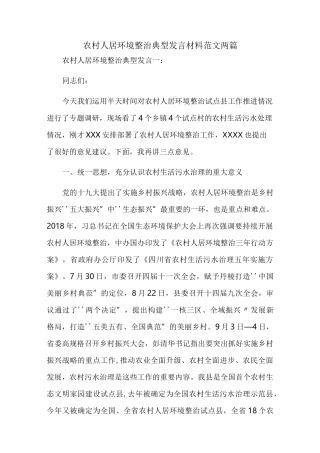 农村人居环境整治典型发言材料范文两篇