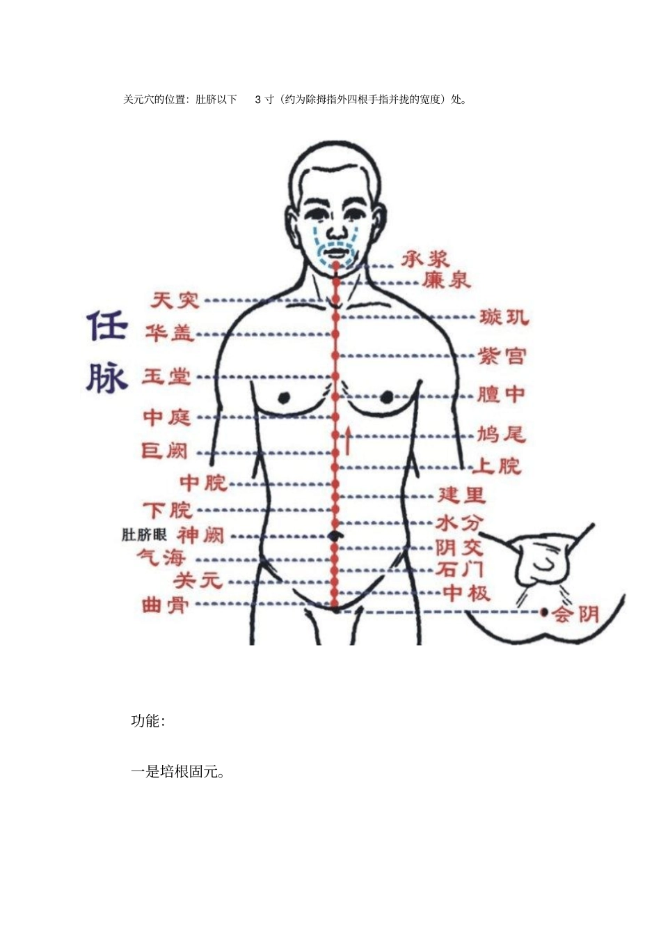 中医常用重要穴位及功能讲解_第3页