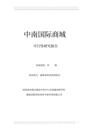 中南国际商城可行性研究报告