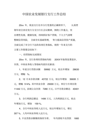 中国农业发展银行支行工作总结
