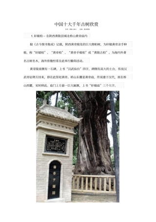 中国十大千年古树欣赏讲解