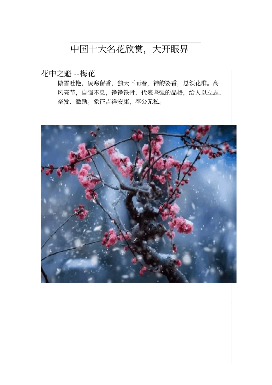 中国十大名花欣赏_第1页