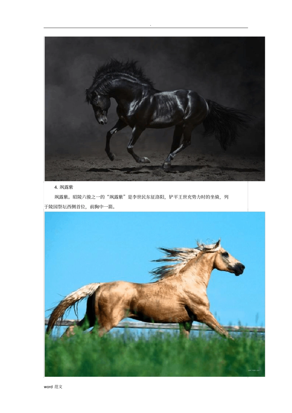 中国古代十大名马_第3页