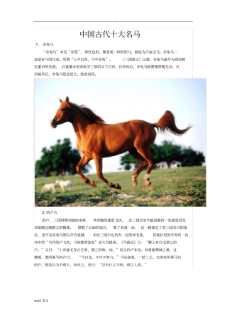 中国古代十大名马