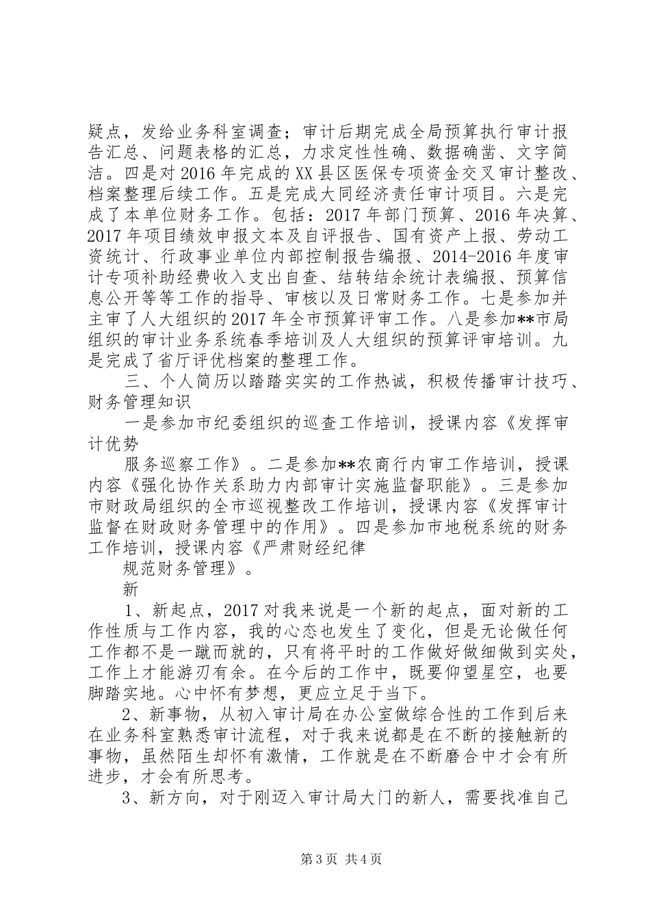 审计工作XX年个人总结 _第3页