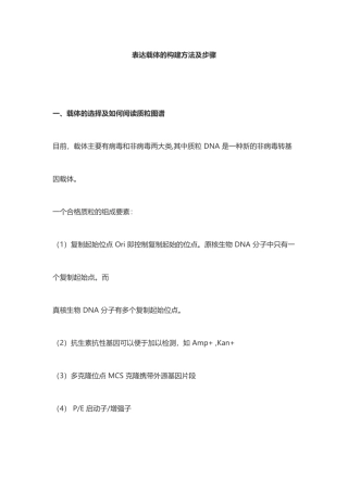 表达载体的构建方法及步骤