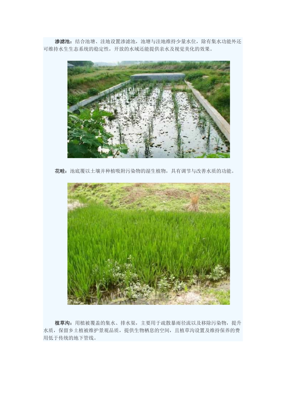 海绵城市的经典案例-当雨水流过城市_第2页