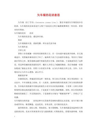 矢车菊的花语意思 