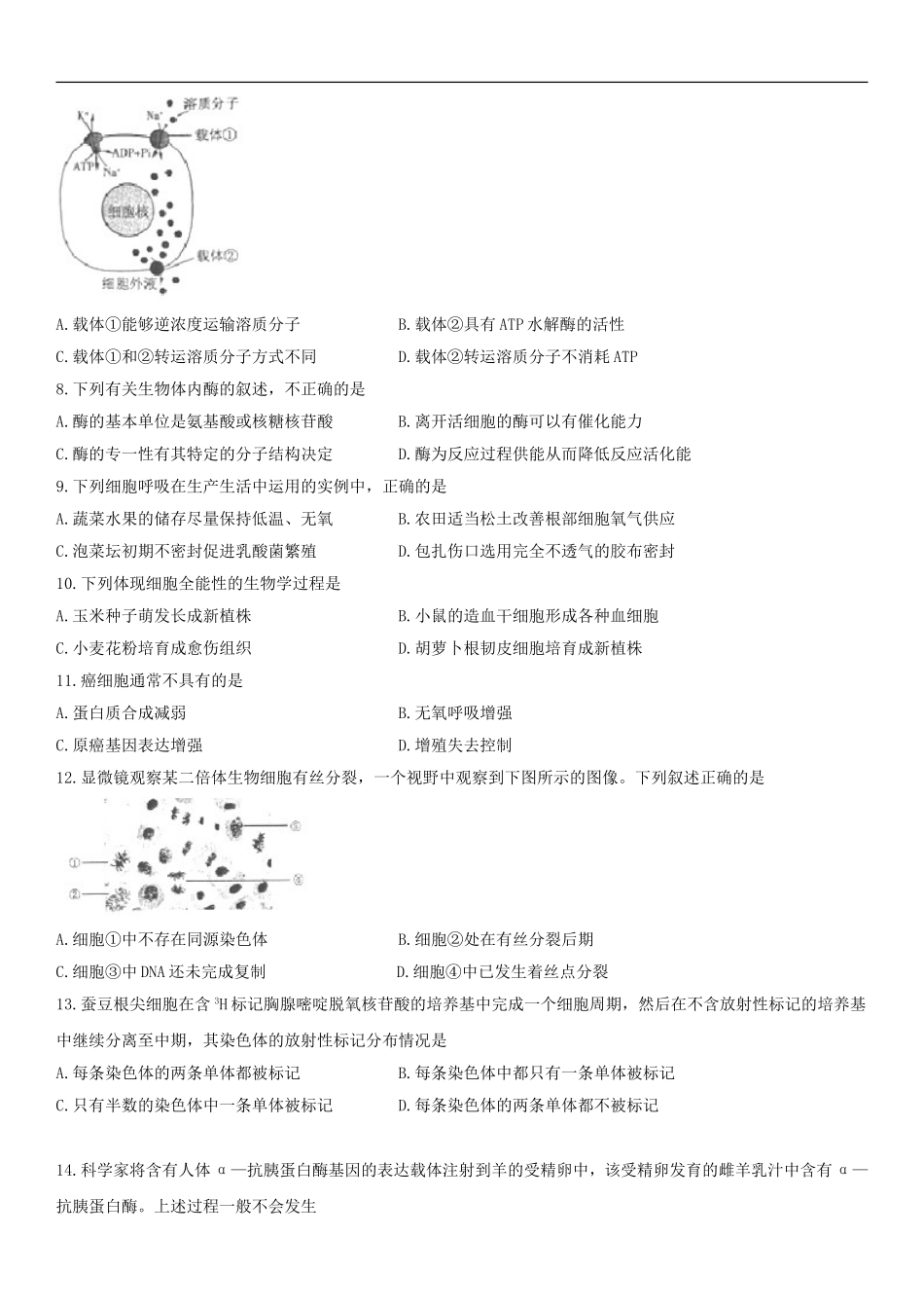 海淀区2017届高三上学期期中考试生物试题_第2页