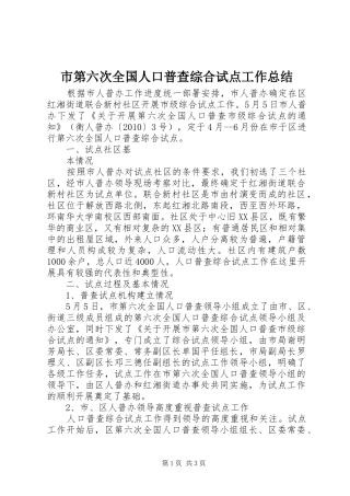 市第六次全国人口普查综合试点工作总结 