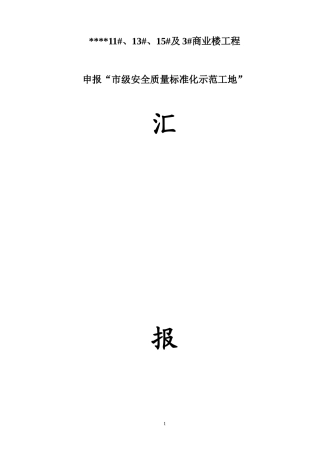 市级申报标准化工地汇报材料