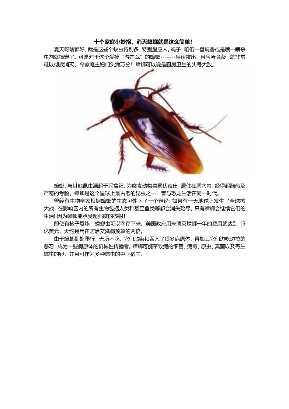 十个家庭小妙招-消灭蟑螂就是这么简单!_第1页