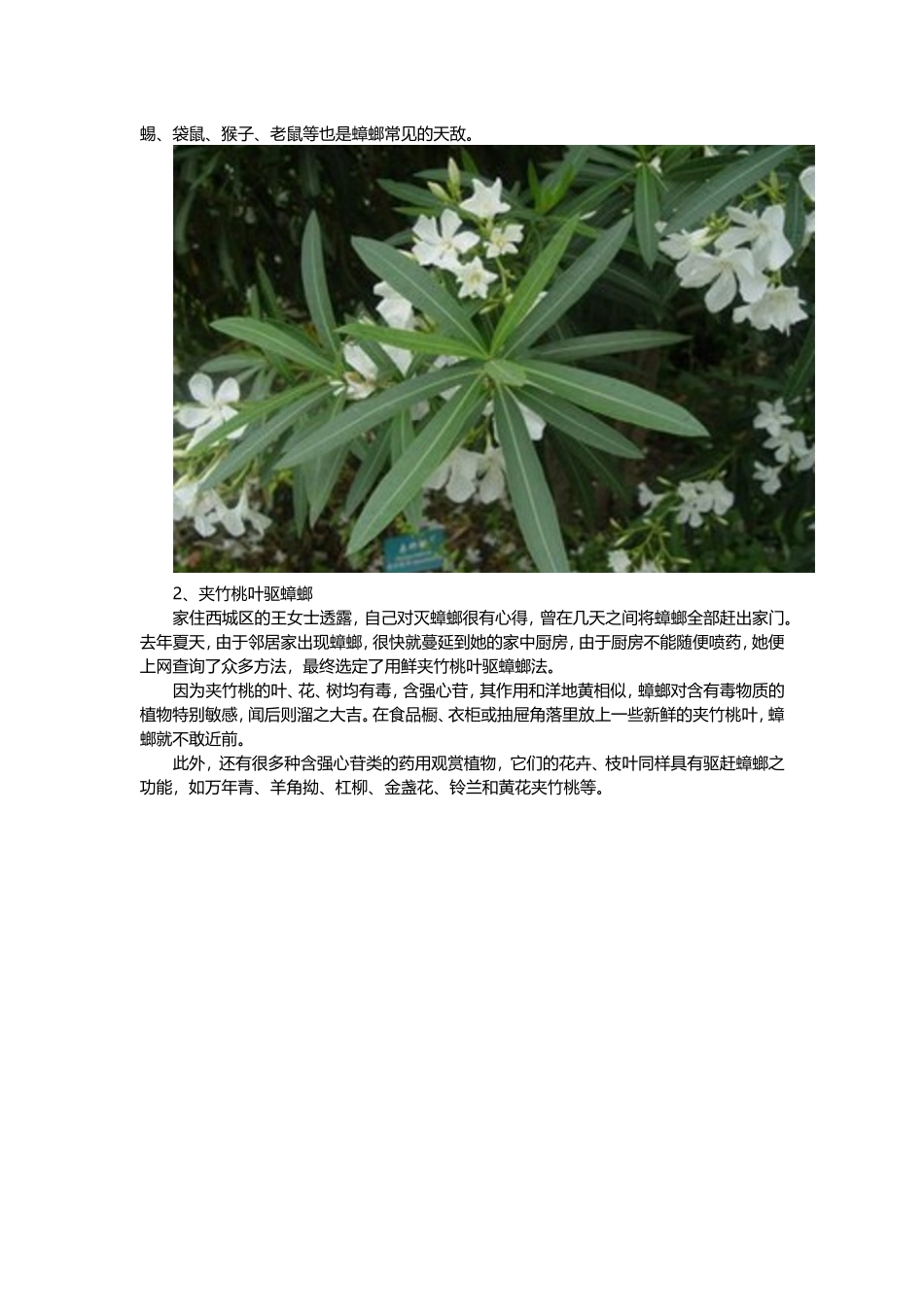 十个家庭小妙招-消灭蟑螂就是这么简单!_第3页