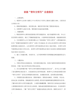 省级“青年文明号”自查报告 