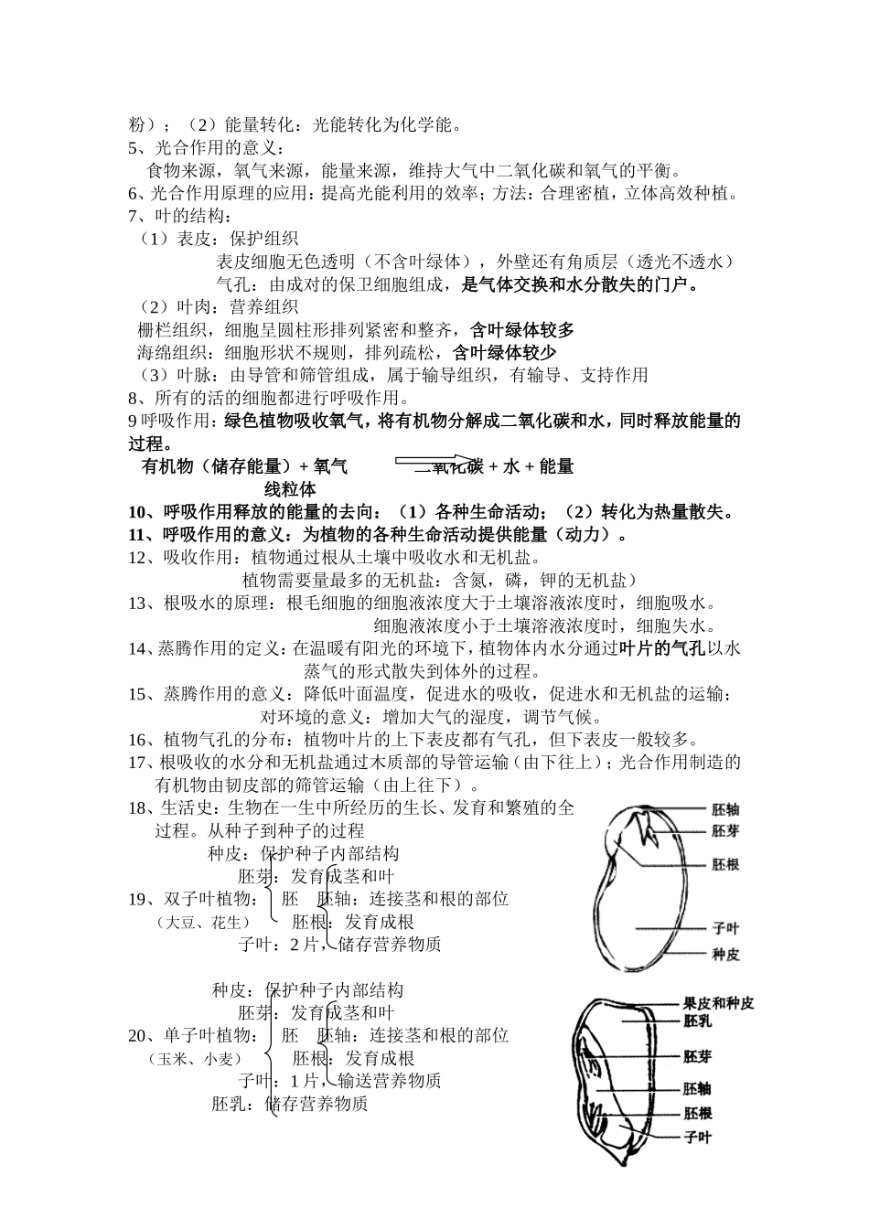 初一地理上册知识点总结(最全面最详细)_第3页
