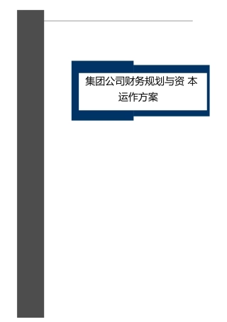 集团公司财务规划与资本运作方案(全套)
