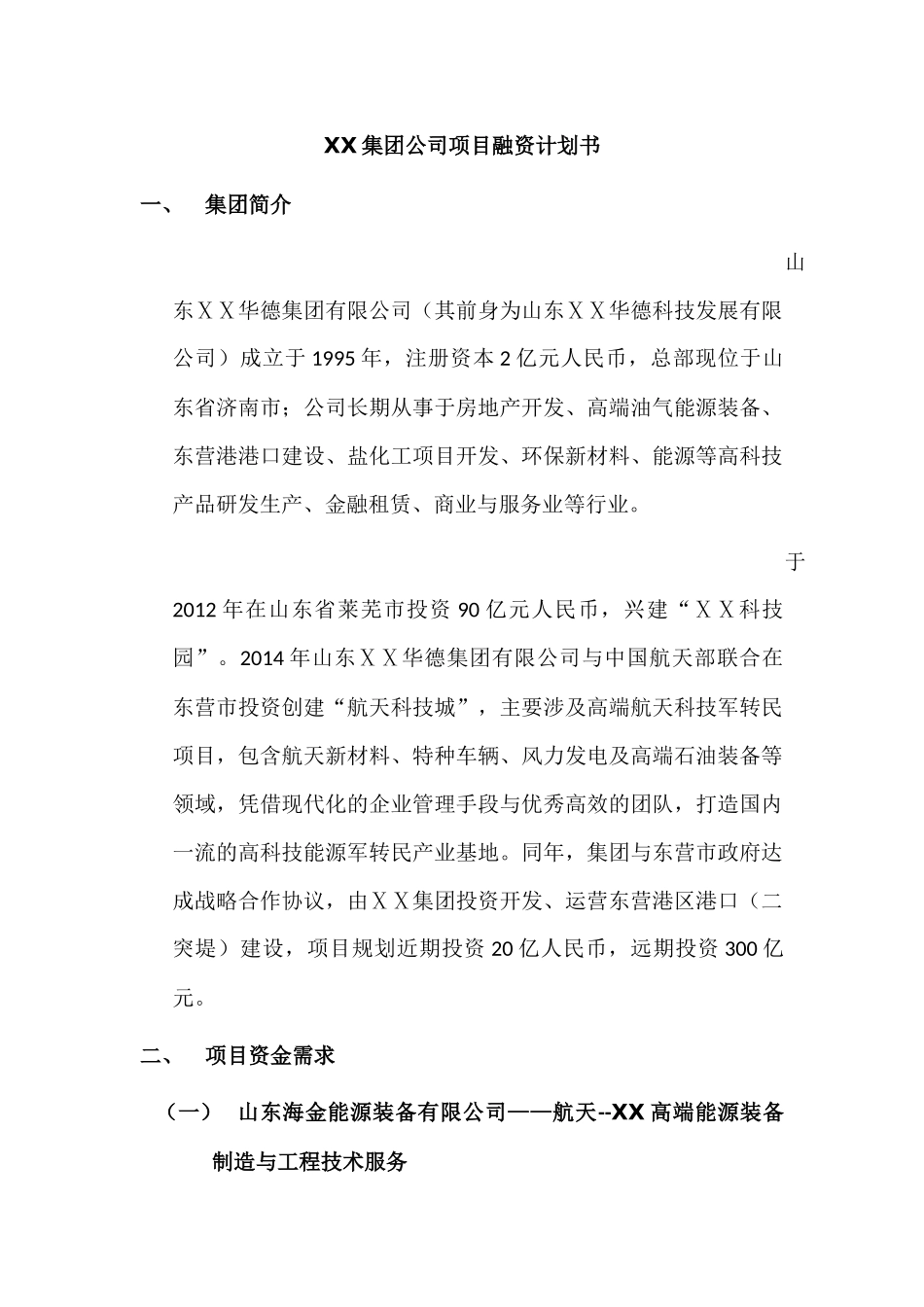 集团公司项目融资计划书_第1页