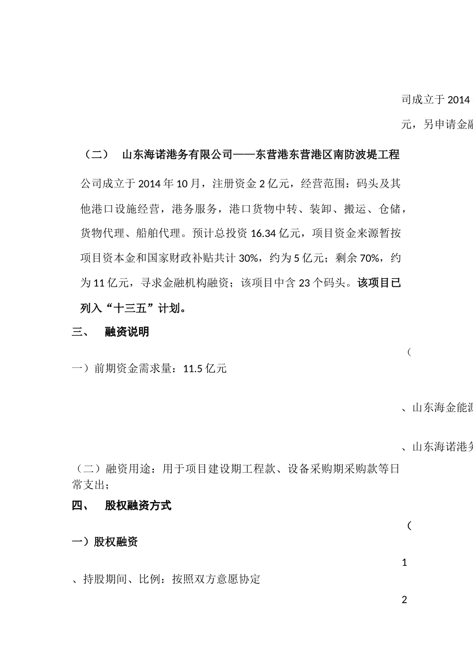 集团公司项目融资计划书_第2页