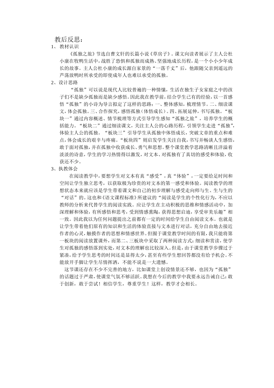 孤独之旅区级公开课(教学设计及反思)-(1)_第3页