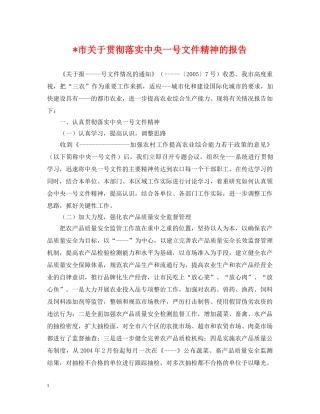 -市关于贯彻落实中央一号文件精神的报告