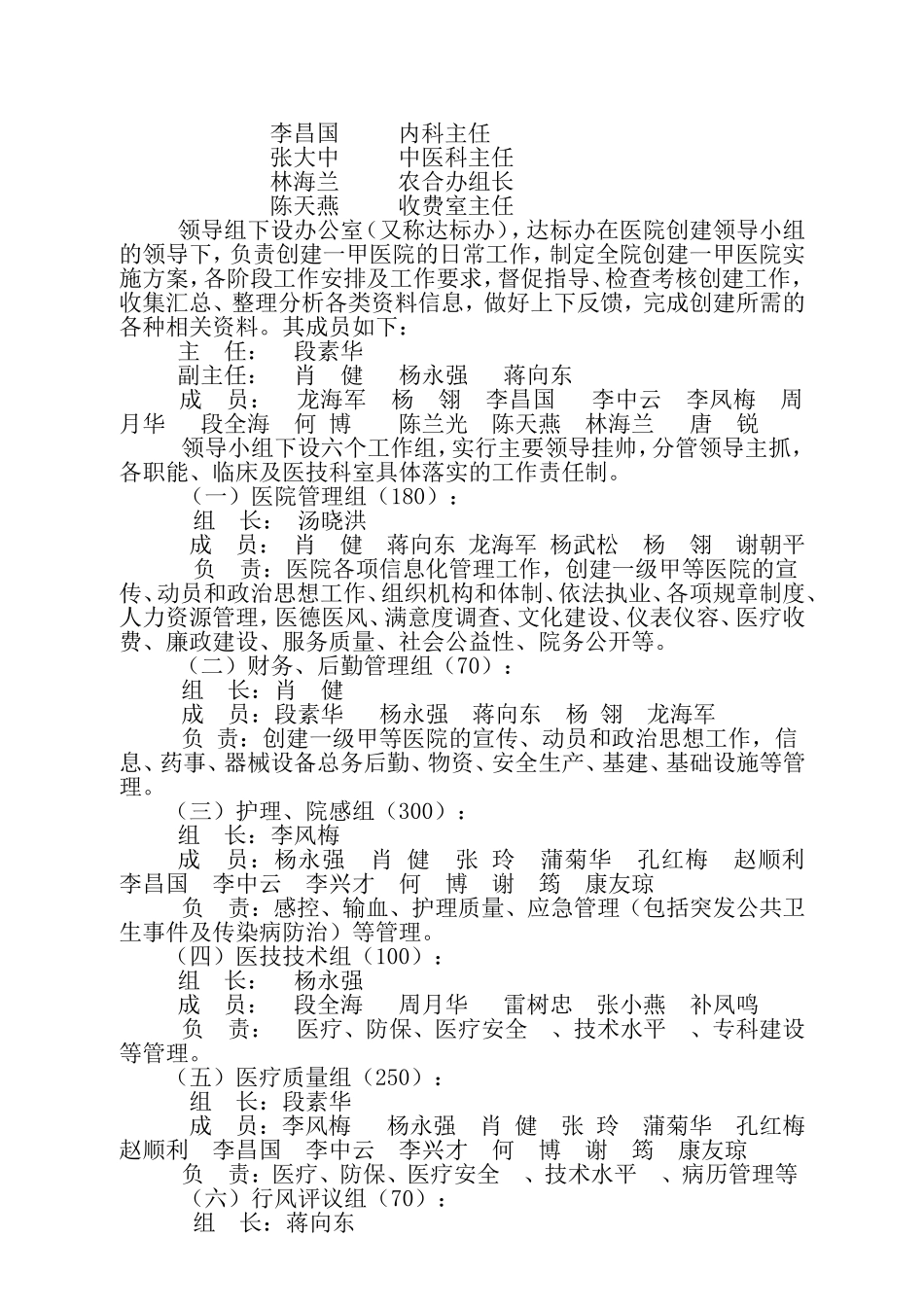 创建一级甲等医院达标实施方案_第2页