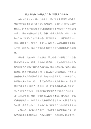 坚定坚决与“三股势力”和“两面人”作斗争