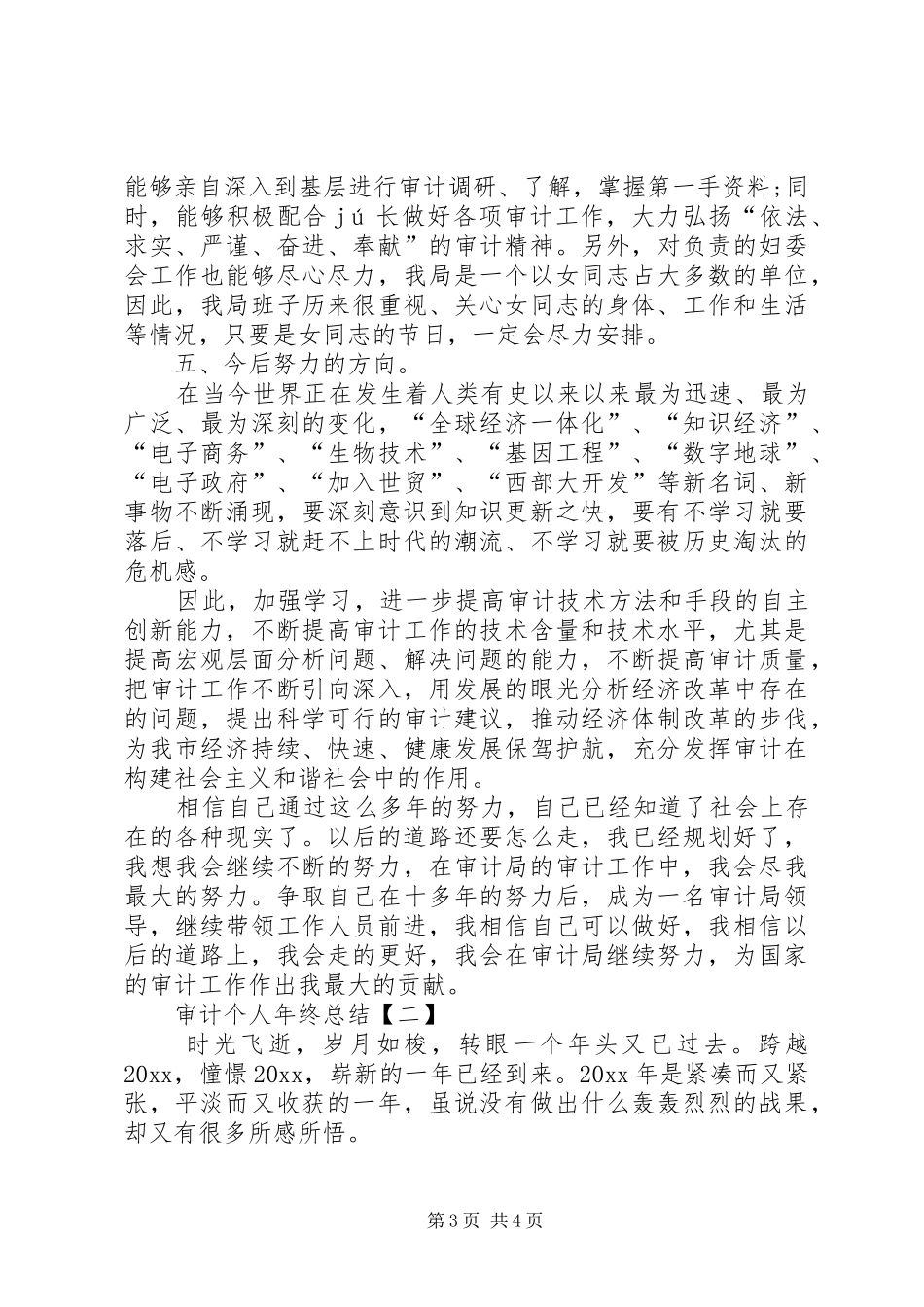审计个人年终总结范文 _第3页