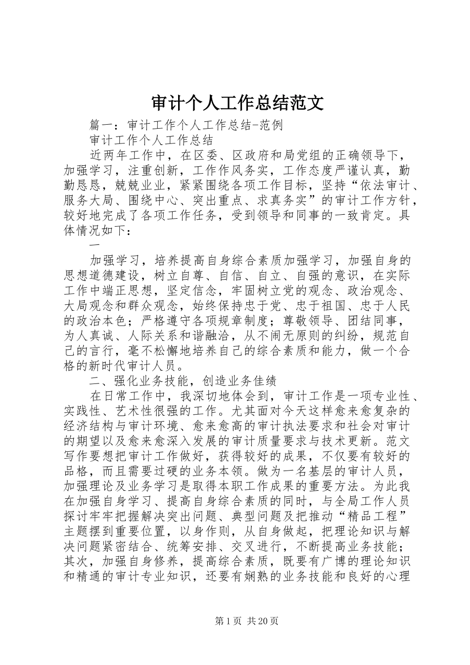 审计个人工作总结范文 _第1页