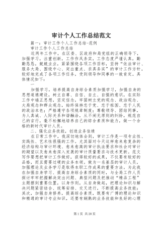 审计个人工作总结范文 