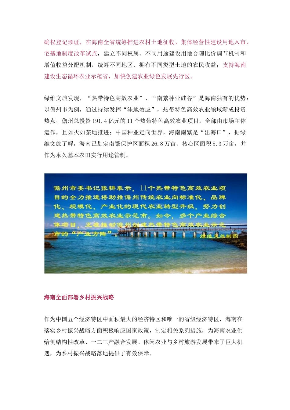 海南乡村振兴：如何打好热带特色高效农业这张“王牌”_第3页