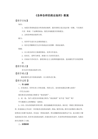 《各种各样的商业场所》教案2