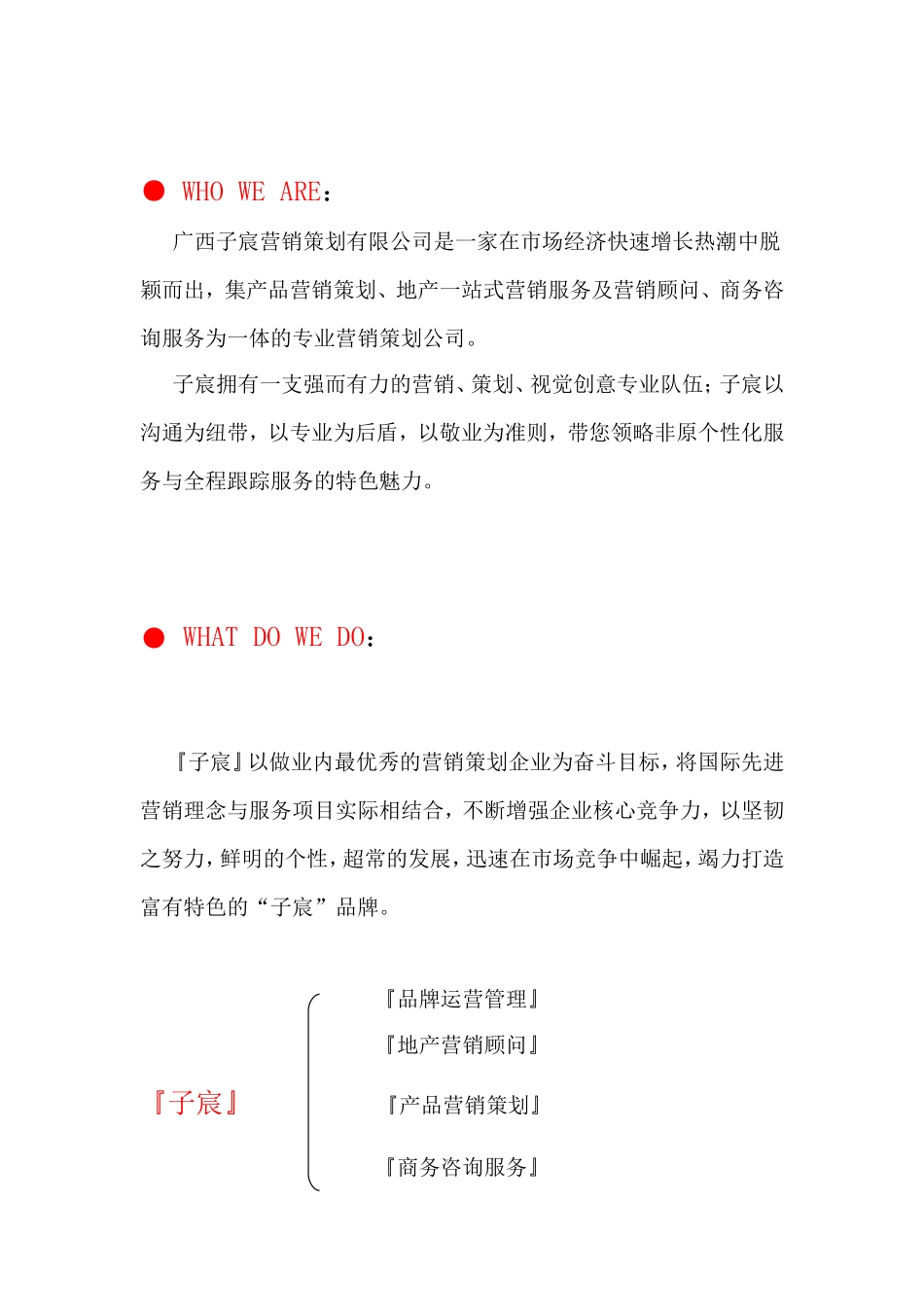 房地产营销策划公司推介书.doc2003(1)_第2页