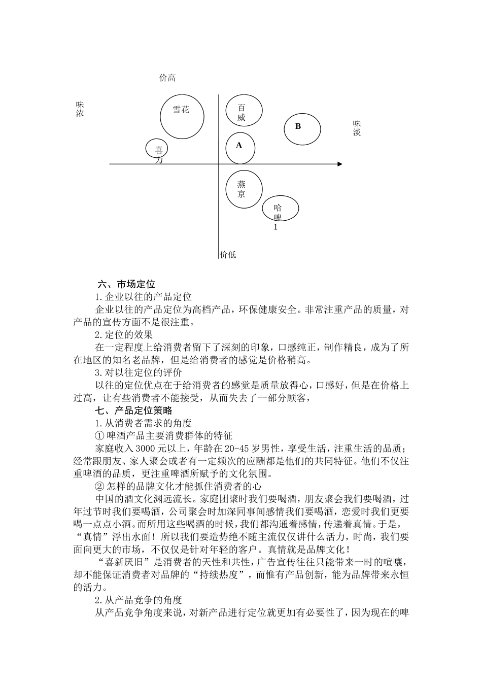 产品定位策划书_第3页