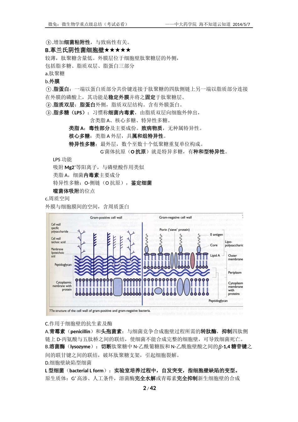 微生物学重点内容(考试必看)_第2页