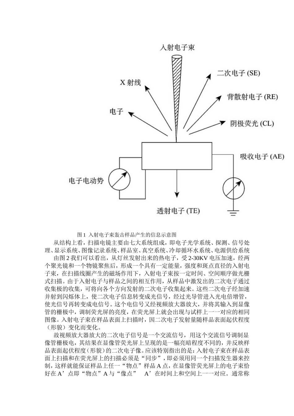 扫描电镜在材料表面形貌观察及成分分析中的应用_第2页