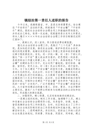 镇综治第一责任人述职的报告 (13)