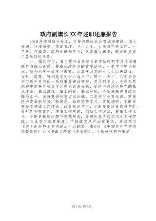 政府副旗长XX年述职述廉报告