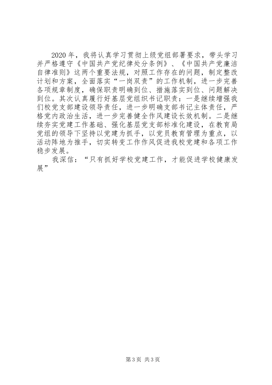 学校党建工作，促进学校健康发展——党支部书记述职报告_第3页