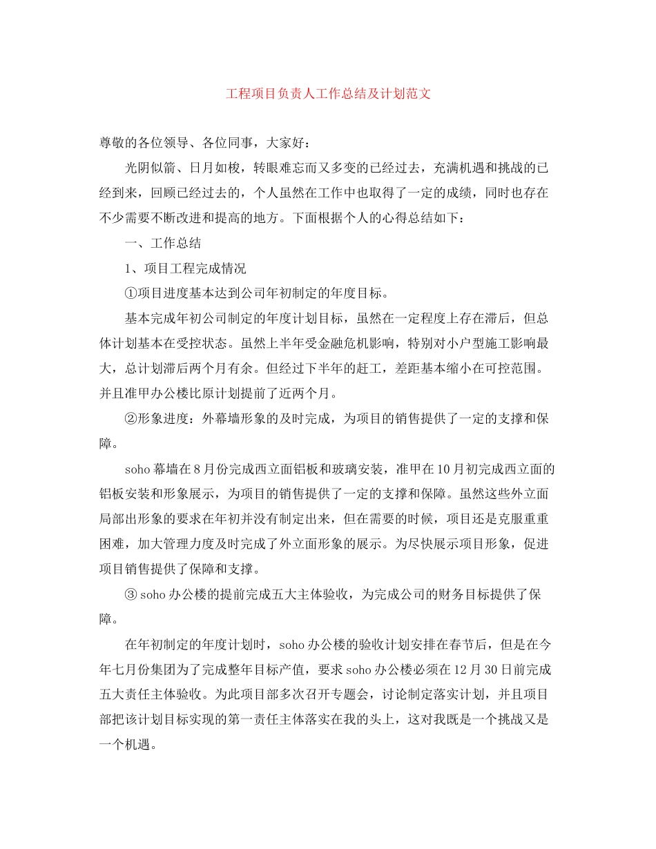 工程项目负责人工作总结及计划范文_第1页