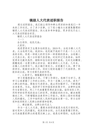 镇级人大代表述职报告