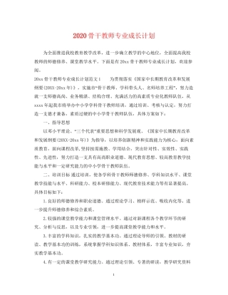 骨干教师专业成长计划