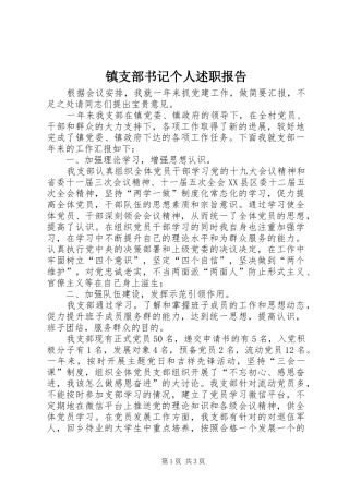 镇支部书记个人述职报告