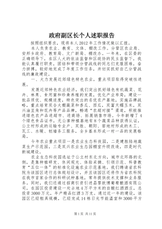 政府副区长个人述职报告